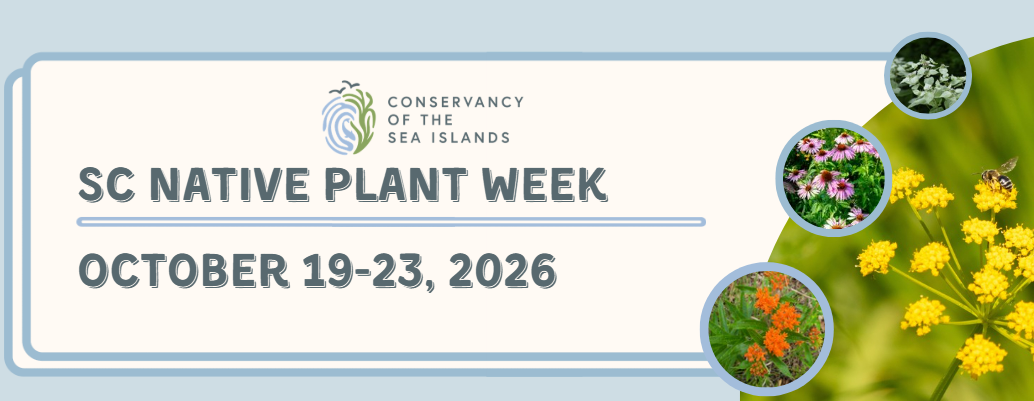 Native Plant Week 2026